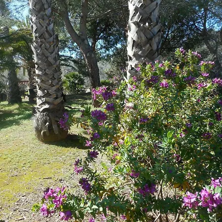 Villa Domus Anna *